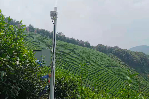 茶園農業氣象站圖片